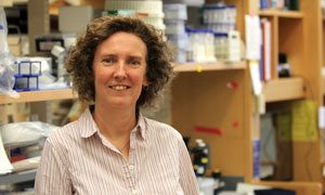 Kerstin Nündel, PhD. Photo credit: UMass Medical School